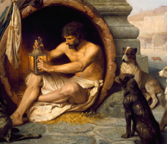 Kerana Saya Hanyalah Anjing yang Laparkan Tulang